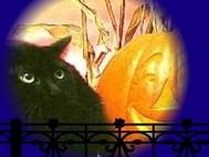 Screechy Cat Halloween Wallpaper screenshot